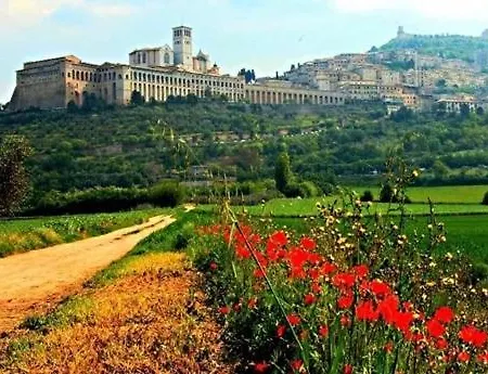 La Fisarmonica