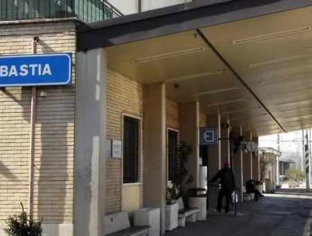 La Fisarmonica