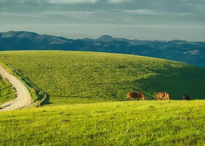 La Fisarmonica Bed & Breakfast Bastia Umbra